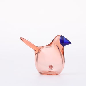 Birds Sieppo サーモンピンク×ブルー 0669