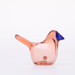 Birds Sieppo サーモンピンク×ブルー 0670