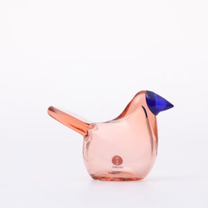 Birds Sieppo サーモンピンク×ブルー 0671