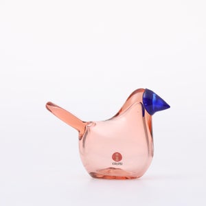 Birds Sieppo サーモンピンク×ブルー 0672