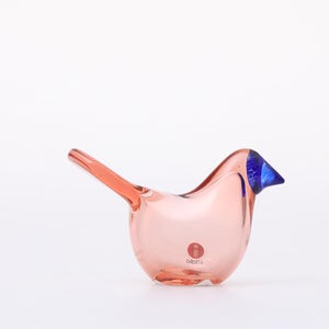 Birds Sieppo サーモンピンク×ブルー 0673