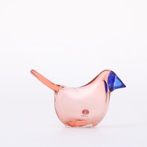 Birds Sieppo サーモンピンク×ブルー 0674