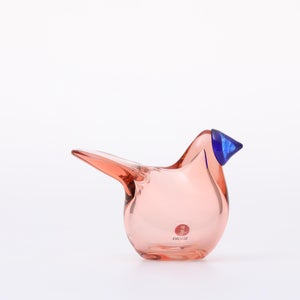 Birds Sieppo サーモンピンク×ブルー 0675