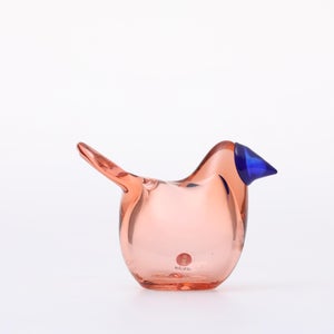 Birds Sieppo サーモンピンク×ブルー 0678