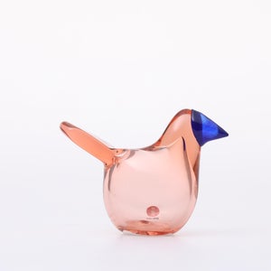 Birds Sieppo サーモンピンク×ブルー 0679