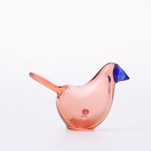 Birds Sieppo サーモンピンク×ブルー 0680