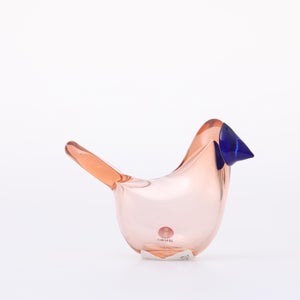 Birds Sieppo サーモンピンク×ブルー 0681