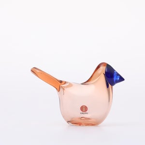 Birds Sieppo サーモンピンク×ブルー 0682