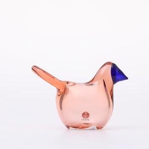 Birds Sieppo サーモンピンク×ブルー 0683