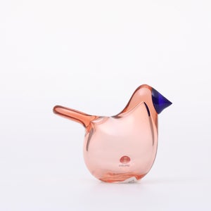 Birds Sieppo サーモンピンク×ブルー 0684