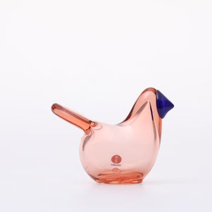 Birds Sieppo サーモンピンク×ブルー 0685