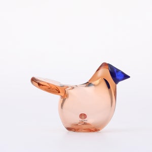 Birds Sieppo サーモンピンク×ブルー 0687