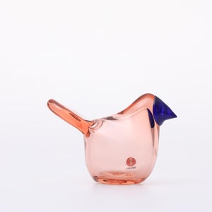 Birds Sieppo サーモンピンク×ブルー 0688