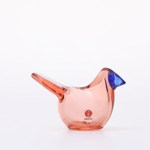 Birds Sieppo サーモンピンク×ブルー 0690