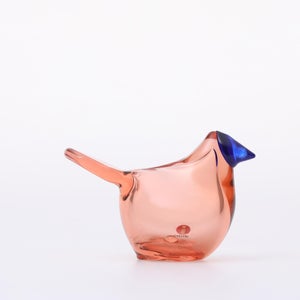 Birds Sieppo サーモンピンク×ブルー 0691