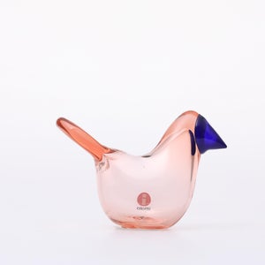 Birds Sieppo サーモンピンク×ブルー 0692