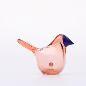 Birds Sieppo サーモンピンク×ブルー 0693