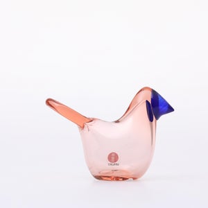 Birds Sieppo サーモンピンク×ブルー 0694