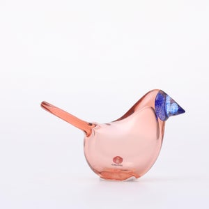 Birds Sieppo サーモンピンク×ブルー 0695