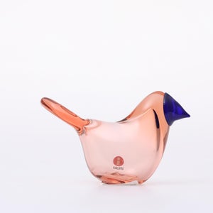 Birds Sieppo サーモンピンク×ブルー 0696