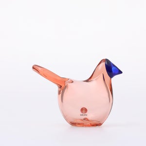 Birds Sieppo サーモンピンク×ブルー 0697