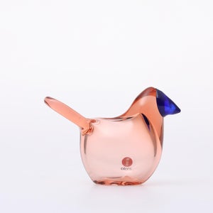 Birds Sieppo サーモンピンク×ブルー 0698