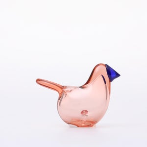 Birds Sieppo サーモンピンク×ブルー 0699