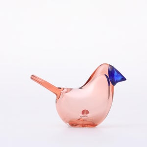 Birds Sieppo サーモンピンク×ブルー 0700