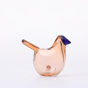 Birds Sieppo サーモンピンク×ブルー 0701