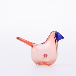 Birds Sieppo サーモンピンク×ブルー 0702