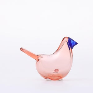 Birds Sieppo サーモンピンク×ブルー 0703