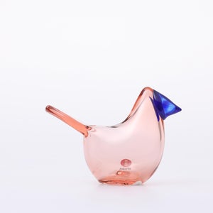 Birds Sieppo サーモンピンク×ブルー 0704