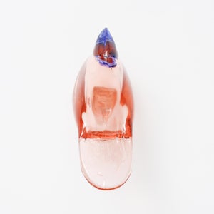 Birds Sieppo サーモンピンク×ブルー 0621