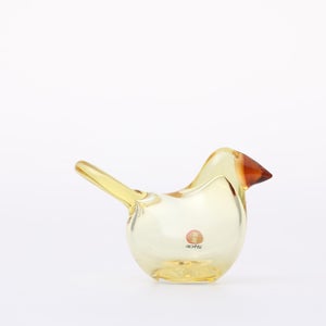 Birds Sieppo レモン×コッパー 0660