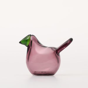 Birds Sieppo カルーナ×グリーン 0235