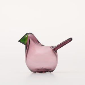 Birds Sieppo カルーナ×グリーン 0237