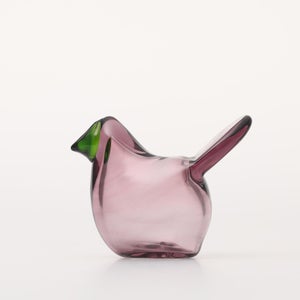 Birds Sieppo カルーナ×グリーン 0243