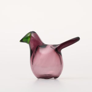 Birds Sieppo カルーナ×グリーン 0248