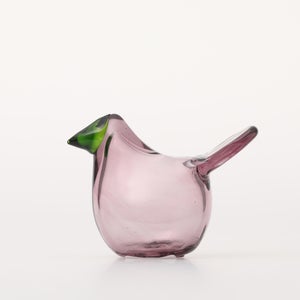 Birds Sieppo カルーナ×グリーン 0249