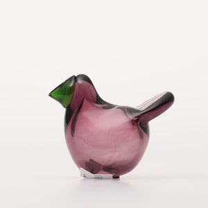 Birds Sieppo カルーナ×グリーン 0250