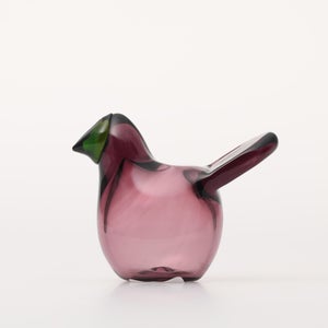 Birds Sieppo カルーナ×グリーン 0251