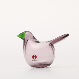 Birds Sieppo カルーナ×グリーン 0256