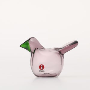 Birds Sieppo カルーナ×グリーン 0257