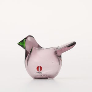 Birds Sieppo カルーナ×グリーン 0258