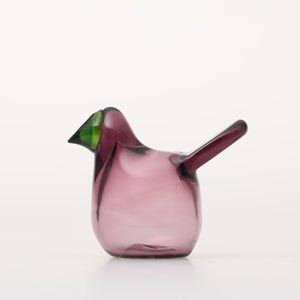 Birds Sieppo カルーナ×グリーン 0280