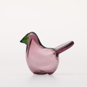 Birds Sieppo カルーナ×グリーン 0281