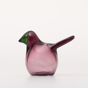 Birds Sieppo カルーナ×グリーン 0282