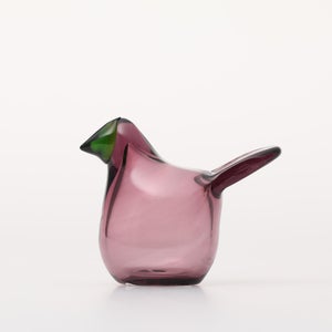 Birds Sieppo カルーナ×グリーン 0283