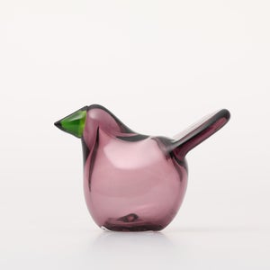 Birds Sieppo カルーナ×グリーン 0284