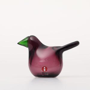 Birds Sieppo カルーナ×グリーン 0285